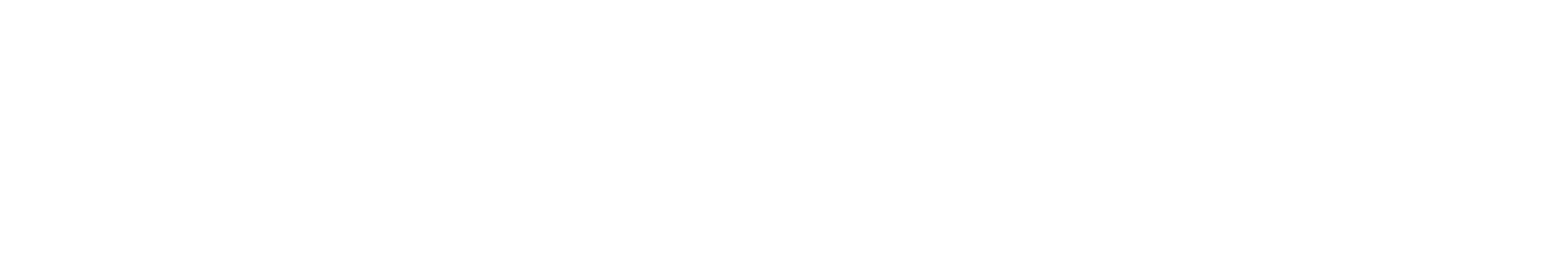 Payzoplus